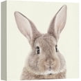 thumbnail image 3 of PixonSign Canvas Print Wall Art Brown Bunny Rabbit Portrait Animals Wildlife Photography Realism Rustic Colorful Multicolor Cool for Living Room, Bedroom, Office - 16"x16", 3 of 5