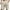 Khaki, variant on ZKCCNUK Mens Cargo Shorts Solid-Color Casual Sports Multiple Pockets Drawstring Shorts S-3XL