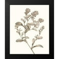 thumbnail image 2 of Vision Studio 12x14 Black Modern Framed Museum Art Print Titled - Neutral Botanical Study II, 2 of 5