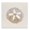 Coastal Serenity Sand Dollar, variant on Stupell Industries Rustic Lodge Regal Shells Spiral Canvas Art, 17 x 17, by Lorenzo Collective