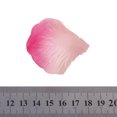 thumbnail image 4 of 100pcs Boda Rosa Pétalos De Sede Artificial Decor Flores Rosa Wedding Rose Petal, 4 of 9