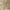 Green, variant on Nourison Petra Persian Rust 7'10" x 10'4" Area Rug, (8x10)
