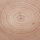 thumbnail image 3 of Grandes Rebanadas de Natural Sin Terminar Círculos de con de árbol para de , Manualidades para Bricolaje, Adornos Na Gloria Artesanía Bloques de madera natural, 3 of 8