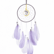 Blessings Naturally Comely Frail Dream Catcher Wall Hanging Feather Decor