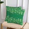 thumbnail image 3 of St. Patricks Day Throw Pillow Covers Set of 2 Soft Pillow Case Protectors with Zipper Standard Size Pillowcase Square for Bed, Sofa, Living Room, Outdoor (20"x20"), 3 of 6