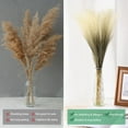 thumbnail image 4 of Uxcell 20 Paquete de Hierba Pampas Falsa 21.7" para Decoración del Hogar Boda Degradado Azul, 4 of 6
