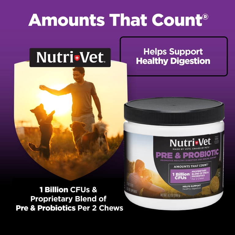 Nutri-Vet Pre/Probiotic Soft Chews for Dogs, 120 Count photo 7