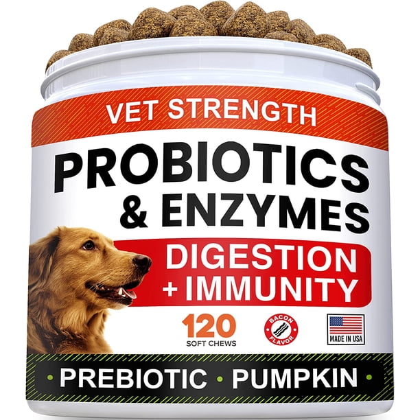 Prebiotics For Homemade Dog Food Basset Hounds For Gas Relief