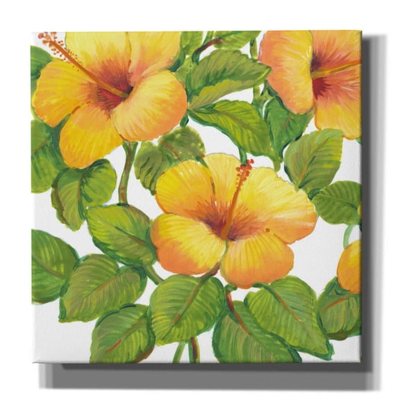 Epic Graffiti 'Watercolor Hibiscus III' by Tim O'Toole, Canvas Wall Art, 12"x12"