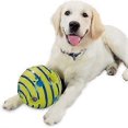 thumbnail image 4 of Glow - Bouncing and Sounding Dog Ball - All Species Sizes - Made of Vinyl - Flexible and Durable - Battery-Free - 14, 4 of 5