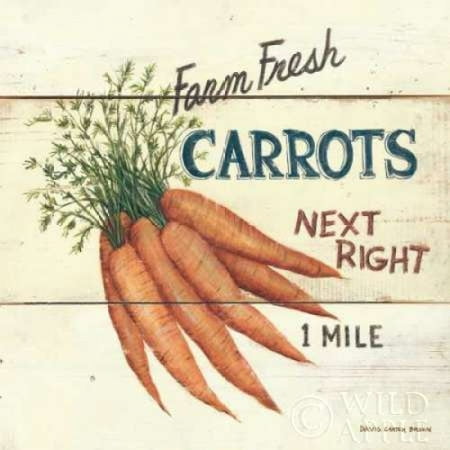 - Farm Fresh Carrots Poster Print by David Carter Brown