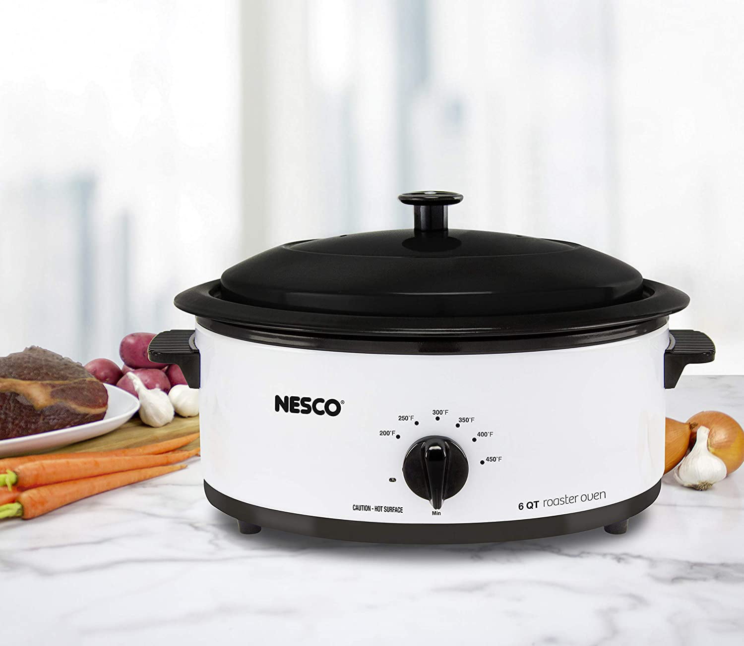 Nesco 12-Quart Stainless Steel Programmable Rectangle Porcelain Roaster  Oven with Metal Lid at