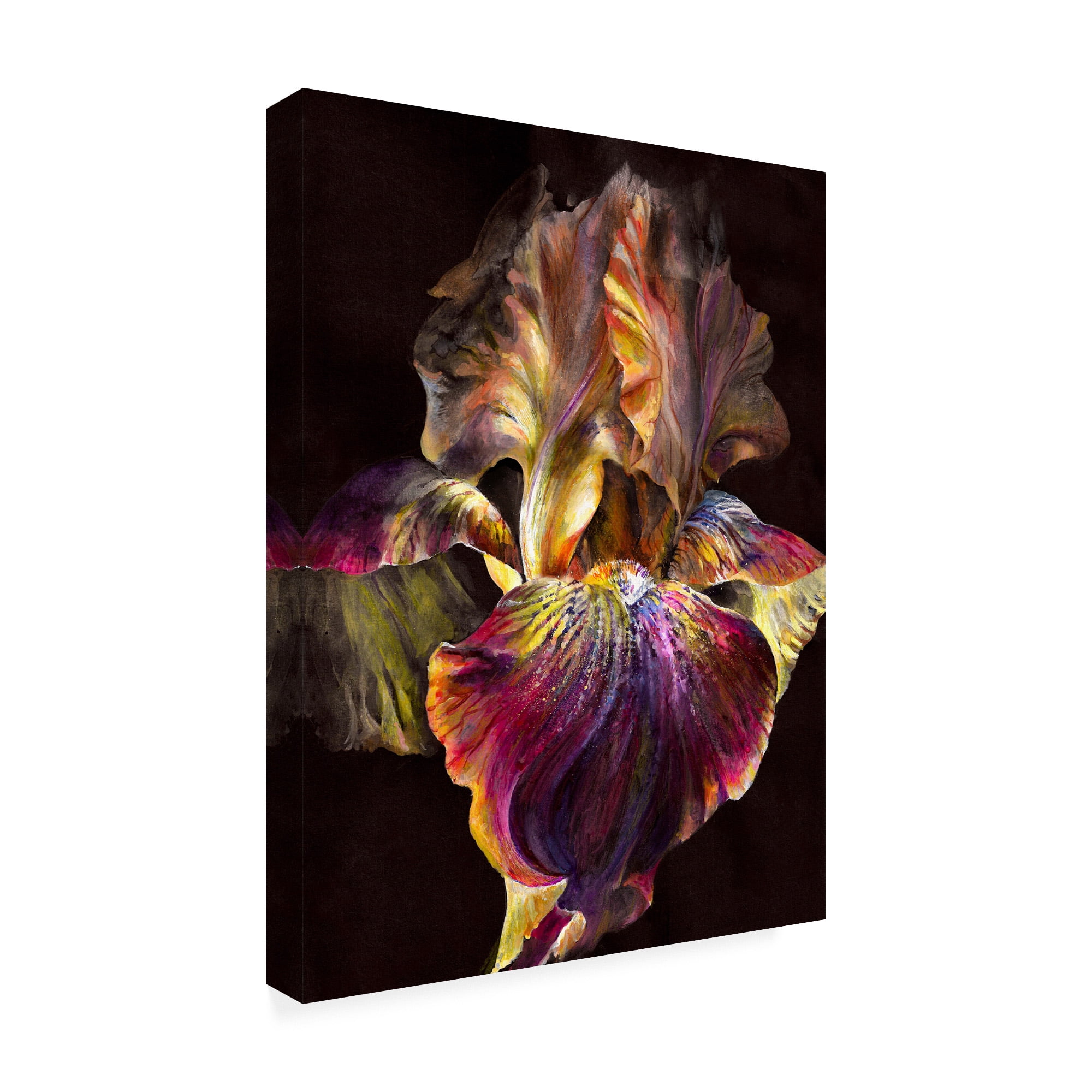 Trademark Fine Art 'Iris On Black' Canvas Art by PhotoINC Studio