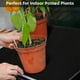 thumbnail image 4 of Naiovety Estera de riego automático de plantas completamente absorbente, no más plantas secas, mecha capilar de autorriego Jardín y Patio, 4 of 6