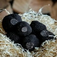 thumbnail image 5 of Elle Esse Black Winter Truffle Juice, 14.2 fl oz Cooking Ingredient, 5 of 5