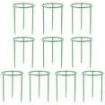 thumbnail image 3 of Xaoshaoyi Plant Support Cages For Climbing Plants Flowering Tomato Cage With Standing Stakes And Stabilizing Support Ring Pack Of 10, 3 of 6