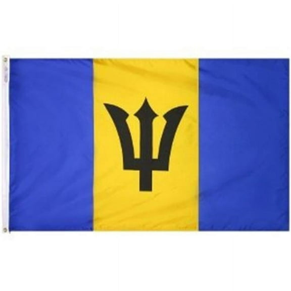 4 ft. X 6 ft. Nyl-Glo Barbados Flag