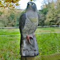 thumbnail image 4 of Falcon, Decoy Bird Scarer, Life-like Colouring, Beige, One Size, 4 of 5