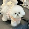 thumbnail image 2 of Adorable Pet Clothes for Cats & Small Dogs - Charming Spring & Autumn Wear, 2 of 2