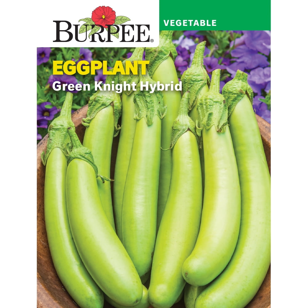 Burpee Green Knight Eggplant Vegetable Seed, 1Pack