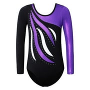 Girls Embroidery Gymnastics Leotard Long Sleeve Purple Ballet Dance Clothes
