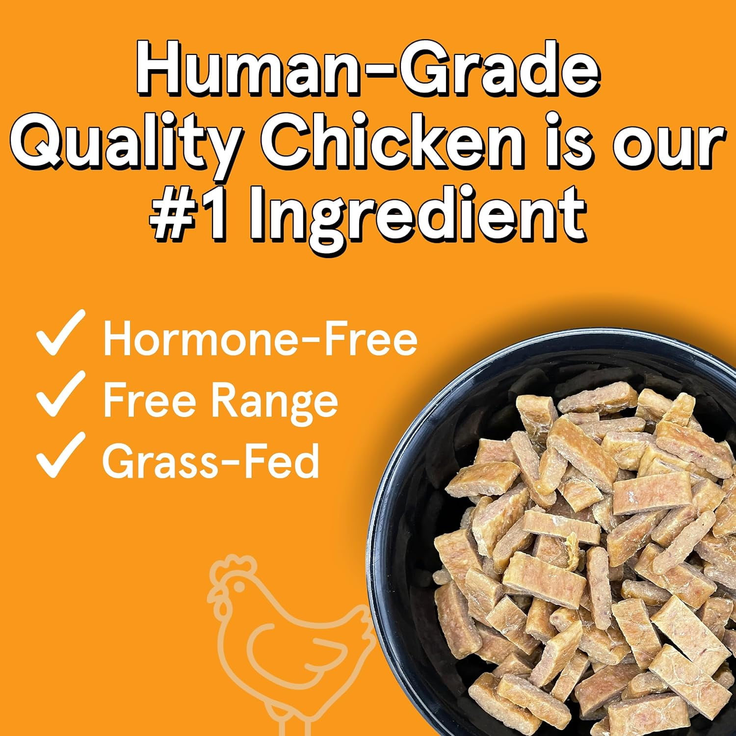 The Real Meat 828023 2 lbs Cannine Air-Dried Chicken Dog Food