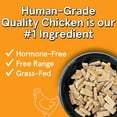 thumbnail image 2 of The Real Meat 828023 2 lbs Cannine Air-Dried Chicken Dog Food, 2 of 8