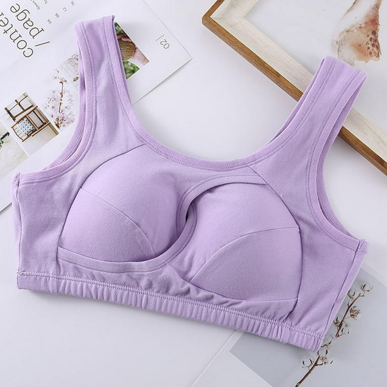 HWRETIE Women's Bra Underwear Breathable Sleep Yoga Cotton Bra Beauty Back  Bra Purple 22(XXXXXXXL) 