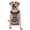 With Accessories, variant on Vsdgher Fox Face Pattern Dog Harness,No Pull Pet Harness with Soft Padded Handle,Adjustable Reflective Vest with 2 Buckles,4 Slide Buckles,S-XL Medium
