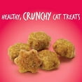 thumbnail image 3 of Fruitables Cat Treats, Healthy Low Calorie Crunchy Cat Treats with Real Salmon & Cranberry, High Protein, Limited Ingredients, 2.5 oz, 5 Pack, 3 of 6