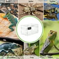 thumbnail image 3 of Boîte à Reptiles Transparente en Acrylique pour Araignée Scorpion Gecko Insecte Serpent Tortue, 3 of 6