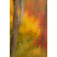 thumbnail image 2 of OBrien, Jay 11x14 White Modern Wood Framed Museum Art Print Titled - New York, Inlet Abstract of autumn forest scene, 2 of 4