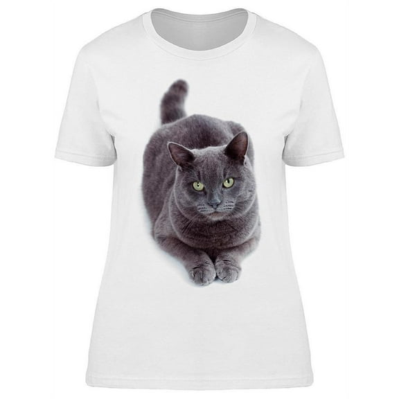 Maltese Cat Observant Green Eyes T-Shirt Women -Image by Shutterstock, Female Large