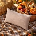 thumbnail image 5 of Outdoor Pillow Covers 12x20 Farmhouse Pillow Covers Fall Orange Plaid Stripes for Couch Sofa Living Room, 5 of 9