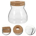 thumbnail image 2 of Shisuyan Terrarium Jar Glass Terrarium Hydroponic Plant Container Ecosystem Container Size M, 2 of 8