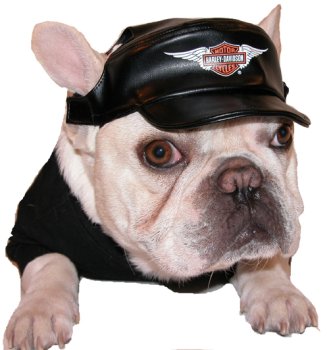 Harley Davidson Vinyl Cap Black Large 