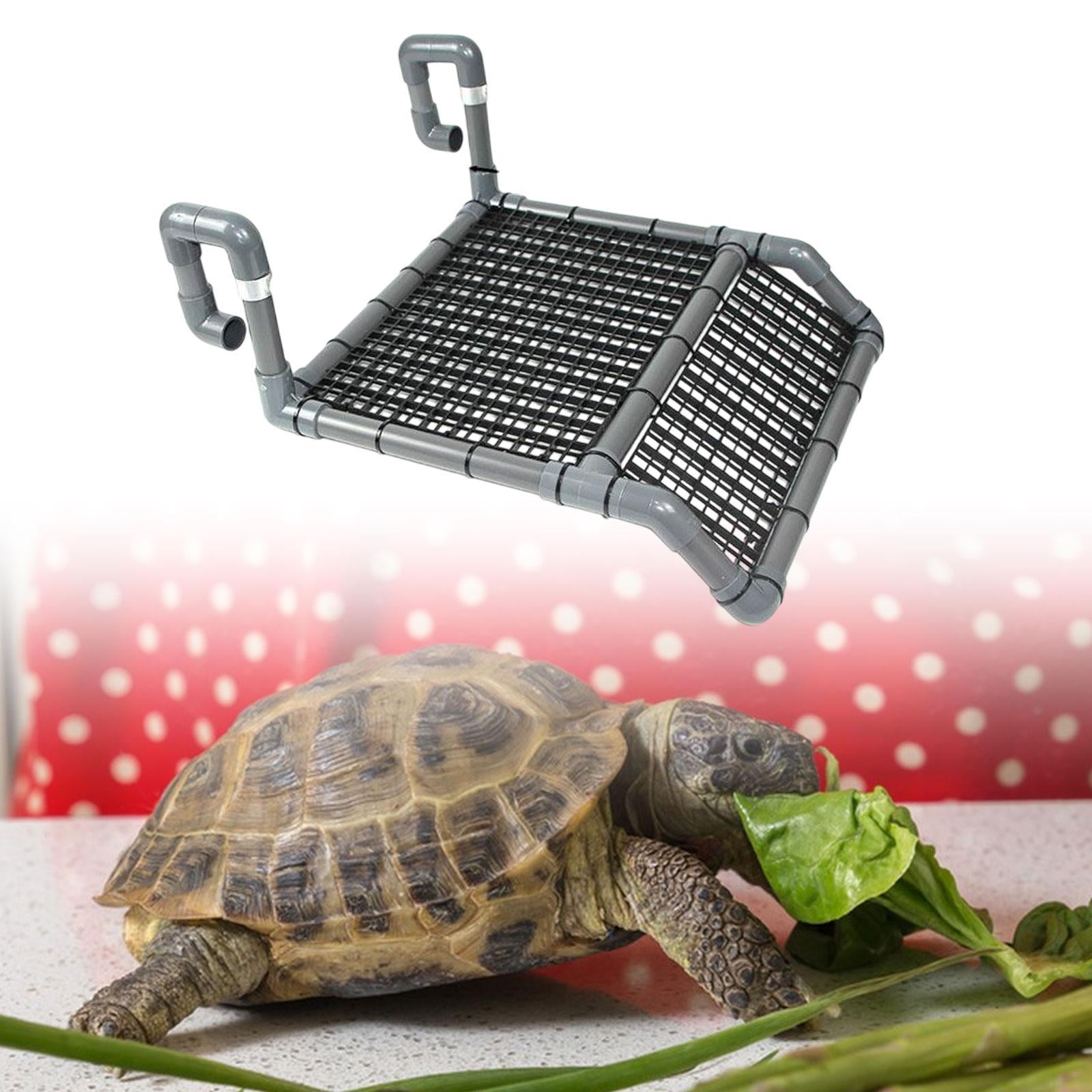 Bothyi Turtle Basking Climbing Shelf for Tortoises Bearded Dragon Terrapin B