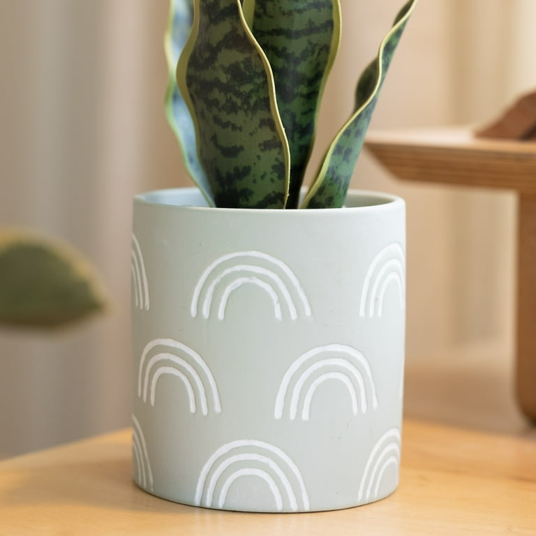 Mainstays 4" Tabletop Artificial Snake Plant in Rainbow Print Terracotta Pot, Sage
