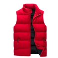 thumbnail image 1 of Chaleco casual de talla europea para hombre, chaleco de algodón cálido para otoño e invierno para hombre, suministro y comercialización de fábrica de Amazon FBA, 1 of 5
