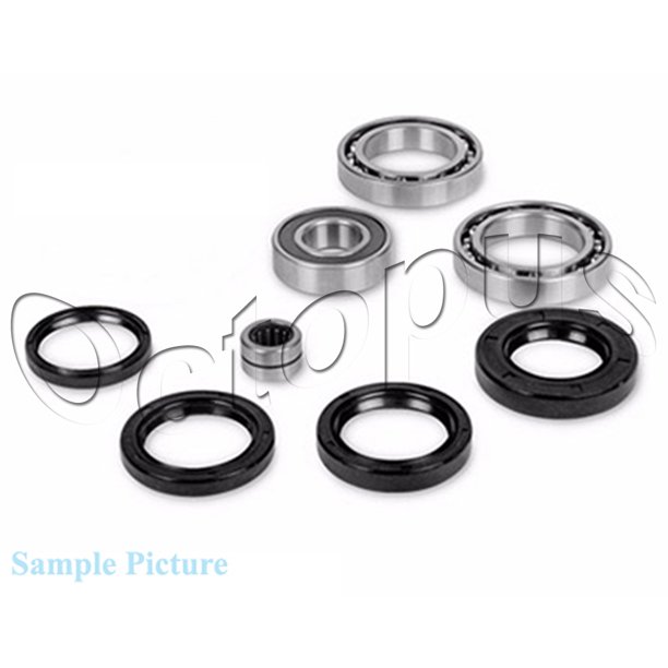 Arctic Cat 500 4x4 Atv Rear Differential Bearings Seals Kit 2005 2006 Walmart Com