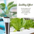thumbnail image 3 of Sembradora De Cultivo Sin Suelo Kit de inicio de semillas de plantas de 30/50 Uds., suministros de jardín de cultivo sin suelo de repuesto Likrtyny Para estrenar, 3 of 7