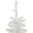 thumbnail image 3 of Northlight Lighted Woodbury Pine Slim Artificial Christmas Tree, 3 of 7