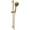 Lumicoat Champagne Bronze, variant on Delta 51584 Proclean 1.75 GPM Multi Function Hand Shower Package - Lumicoat Champagne