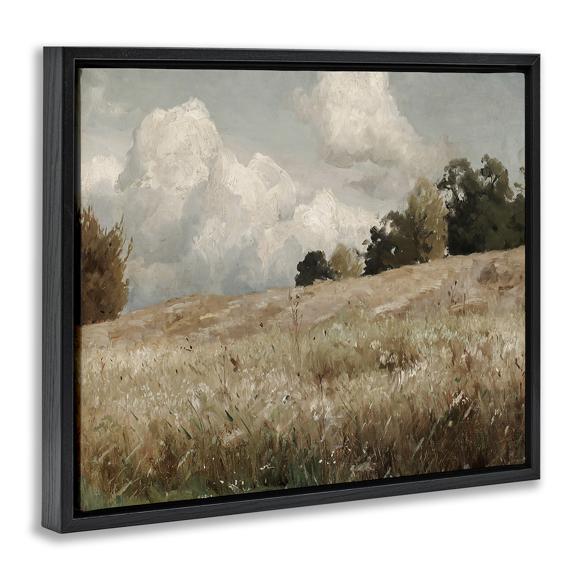 Classic Cloudy Field Landscape Black Floating Frame Canvas Art, 21 x 17
