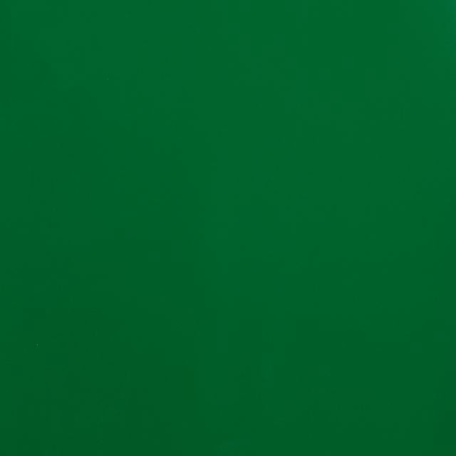 JAM Paper Glossy Wrapping Paper, 26.3 Sq ft (17 in x 18 Ft), Green, 1/Pack