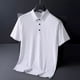 thumbnail image 1 of Camisa Polo Masculina Sem Costura De Seda Gelada New2024, 1 of 2