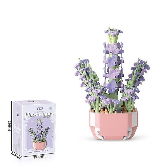 Succulent Building Set, Succulent Bonsai Botanical Decor Collection Building Kit, Build a Succulents Plants Display Piece for Home or Office, Ideal Gi