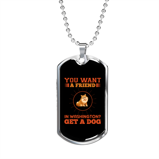 Ami dans le Collier de Washington en Acier Inoxydable Ou 18k or Chien Tag 24" Chaîne