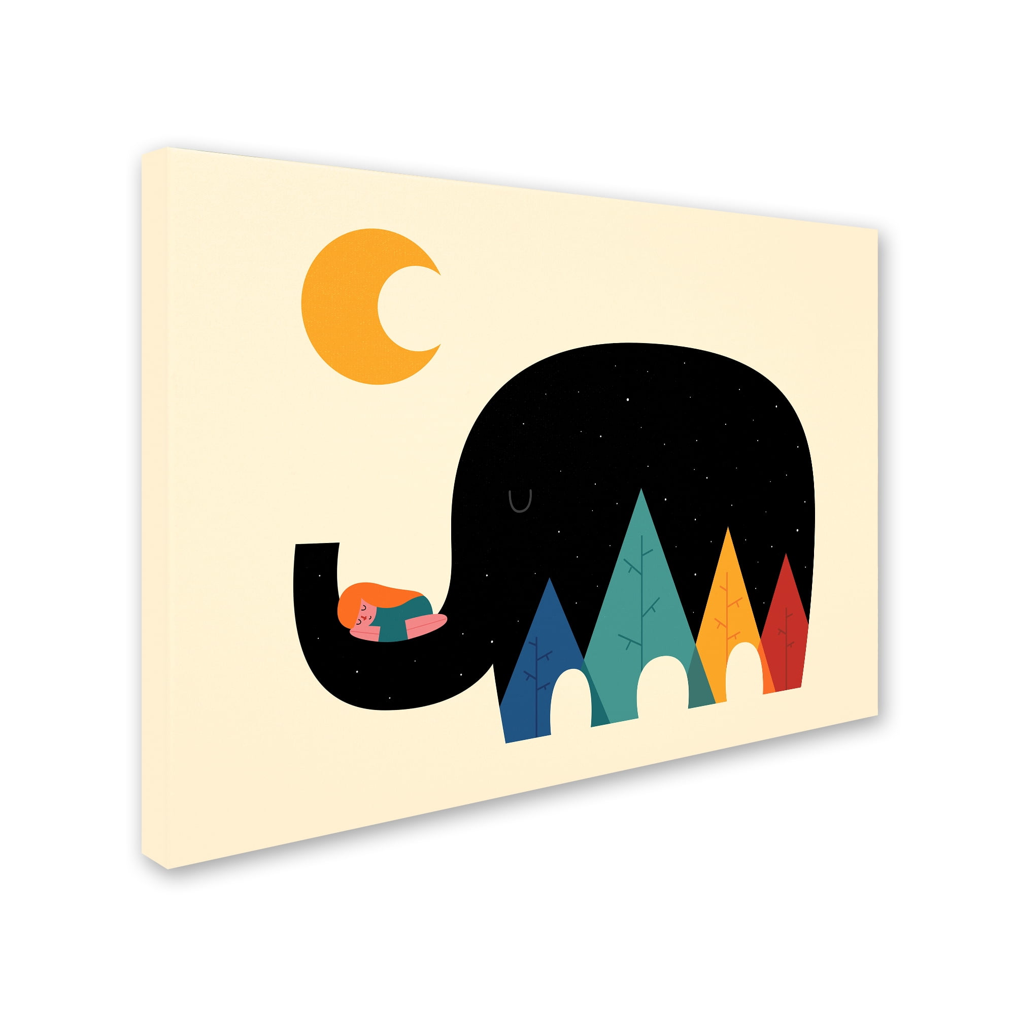 Trademark Fine Art 'Dream In The Air' Canvas Art by Andy Westface