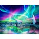 thumbnail image 1 of Diamante (DE6361) Sello completo serie animal redondo resina E476 40x50cm FLhrweasw Nuevo, 1 of 1